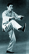 Master Dr Chi Chiang Tao